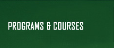 Program & Courses