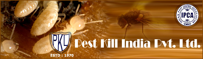 Pest Kill India Pvt. Ltd.