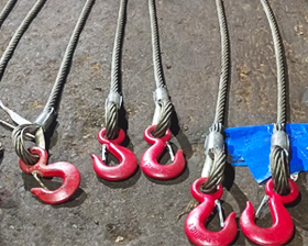 Electric Wire Rope Hoist