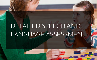 Detailed Speech and Language Assessment