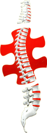 Neha Surgical - Authorised Dealer of Spinal Implants, Instruments and Hospital Equipments